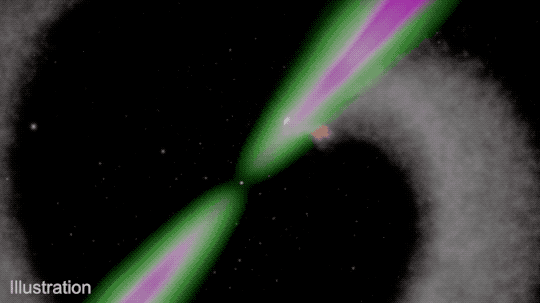 A pulsar spins in the middle of this animation with a companion star orbiting around it. The pulsar is represented by a small white dot with two cones of radiation emanating from either side. The cones have a white interior with green outlines closer to the pulsar changing to purple further away. As the animation proceeds, the cones spin around the central pulsar. A sphere representing the pulsar’s companion orbits around the pulsar, and as it does, a continuous cloud of material blows behind it, expanding outward to create a diffuse spiral. The image is watermarked: “Illustration.”
