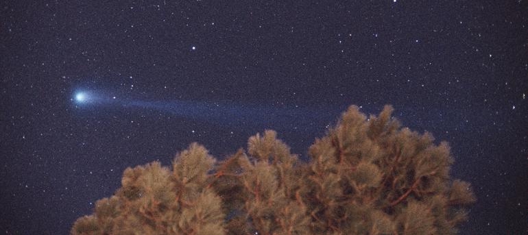 APOD: 1996 April 10 – Comet Hyakutake and a Tree