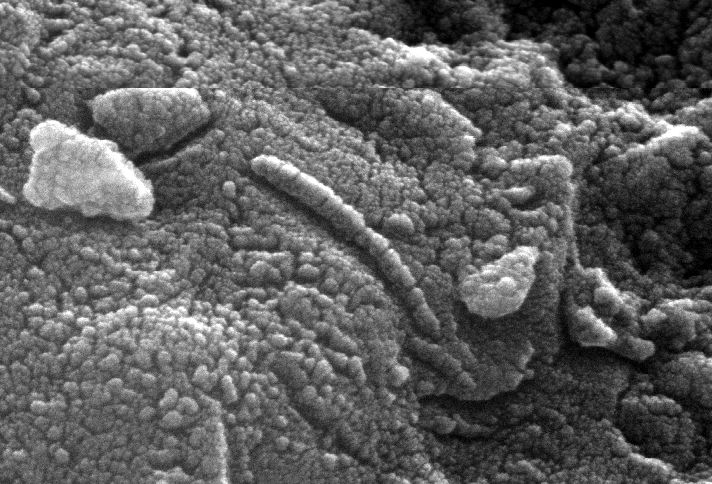 APOD: 1996 August 08 – Pictured: An Ancient Martian?