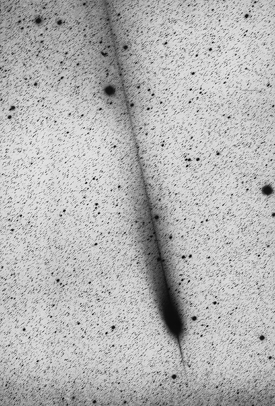 APOD: 1998 February 20 – Hale Bopp: A Continuing Tail