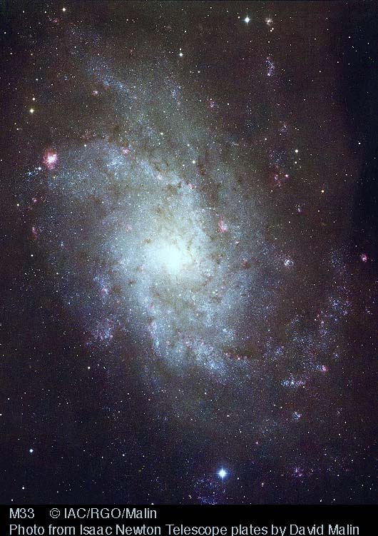 APOD: 1998 July 21 – Nearby Spiral M33