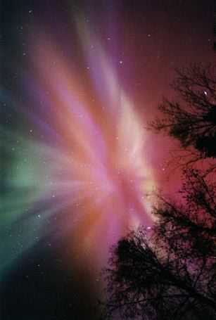 APOD: 1998 November 11 – Aurora Above