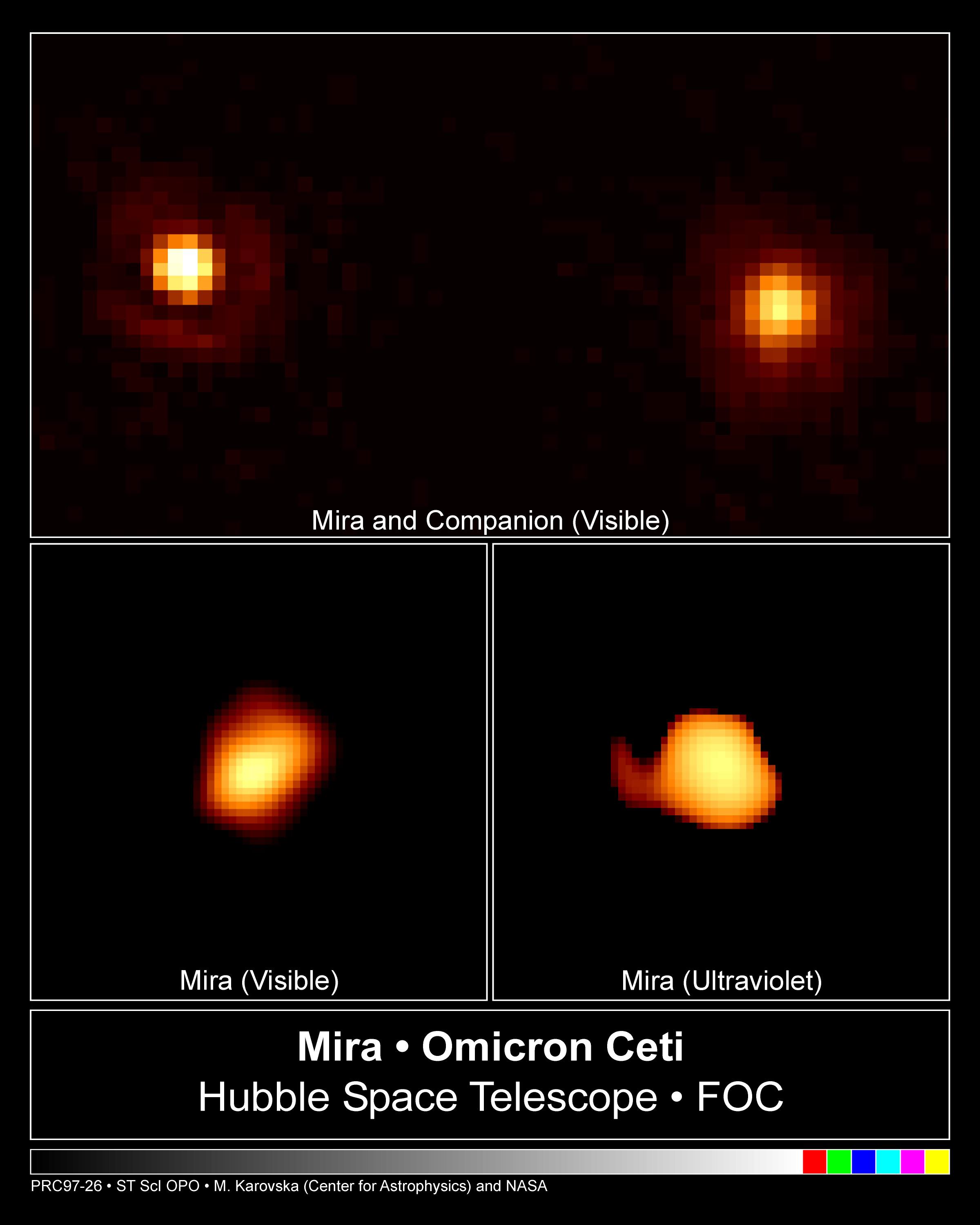 APOD: 1998 October 11 – Resolving Mira