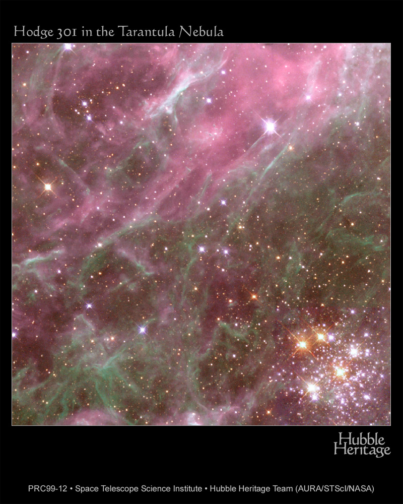 APOD: 1999 April 07 – Denizen of the Tarantula Nebula