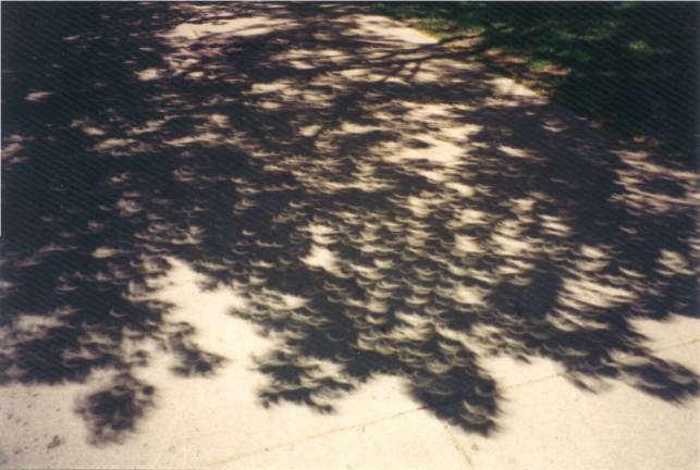 APOD: 1999 August 13 – Eclipse In The Shade