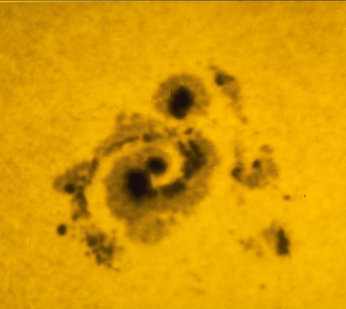 APOD: 1999 February 04 – Spiral Sunspot