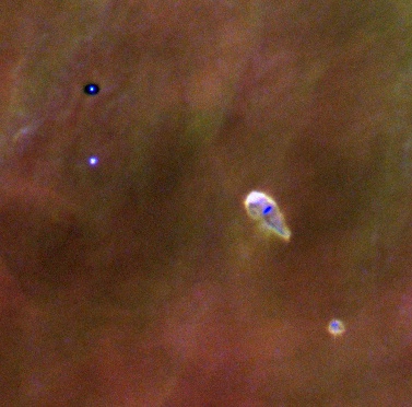 APOD: 1999 February 28 – Trapezium: Teardrops in My Skies