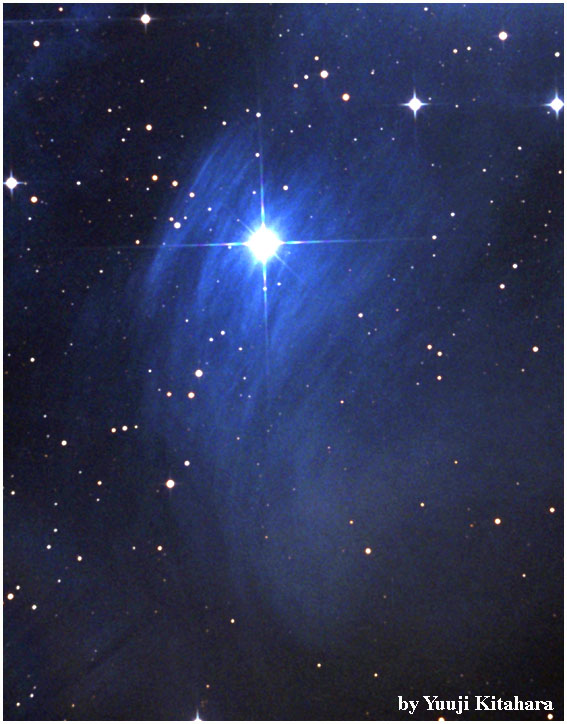 APOD: 1999 March 01 – Reflection Nebula NGC 1435