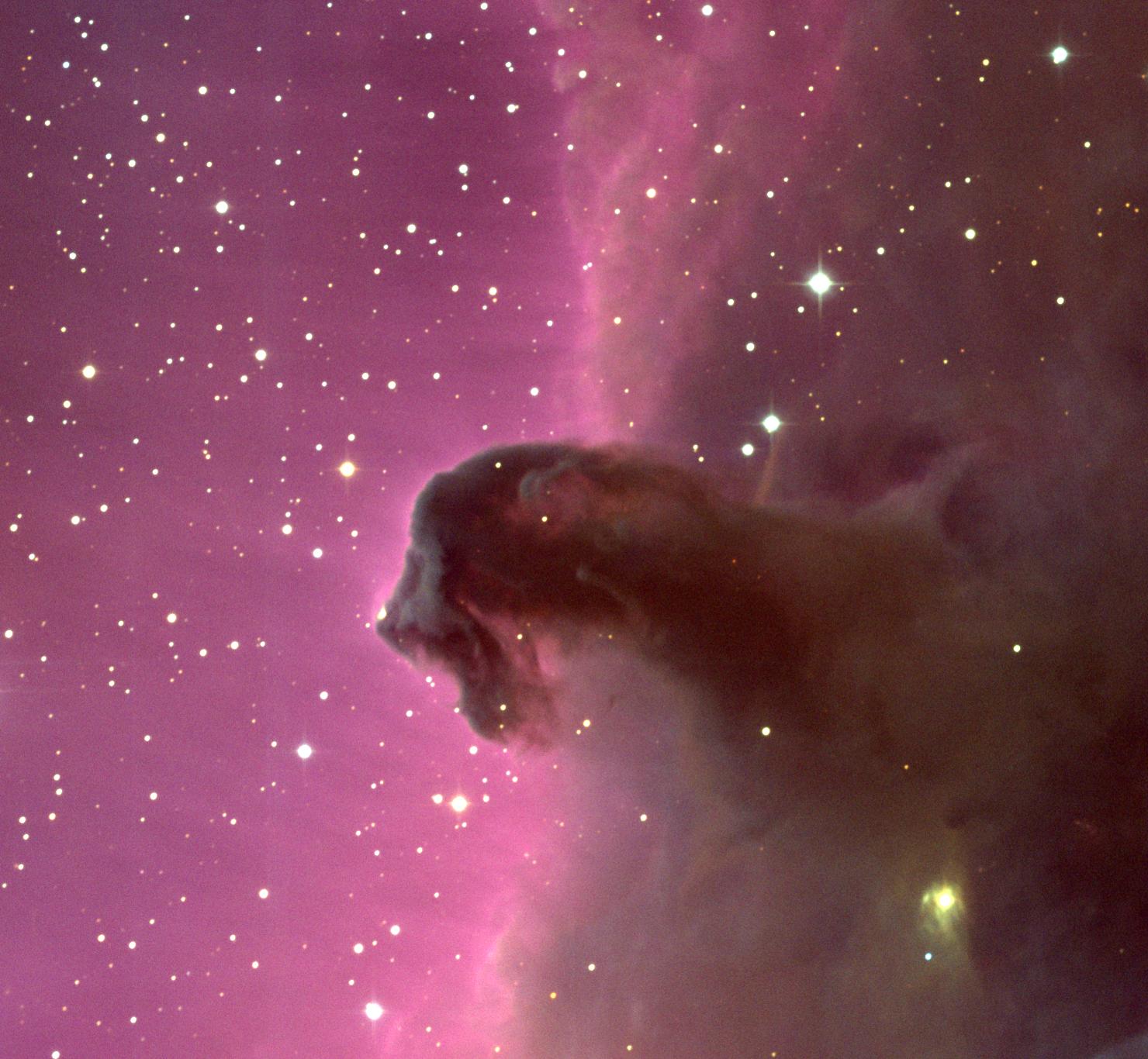 APOD: 1999 May 19 – The Horsehead Nebula