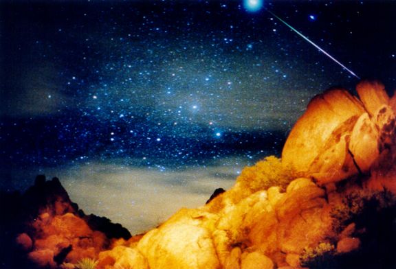 APOD: 1999 November 18 – A Sirius Leonid Meteor