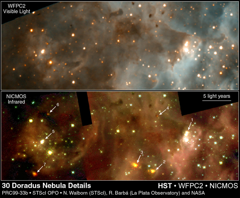 APOD: 1999 October 01 – New Stars In 30 Doradus