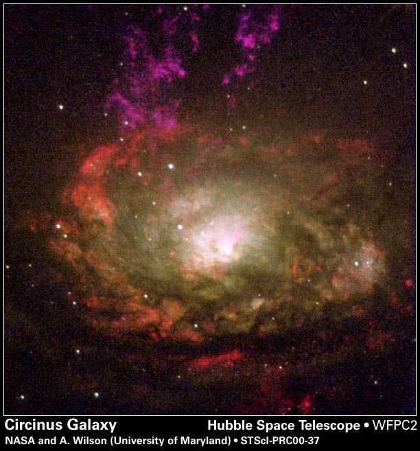 APOD: 2000 December 04 – The Circinus Galaxy