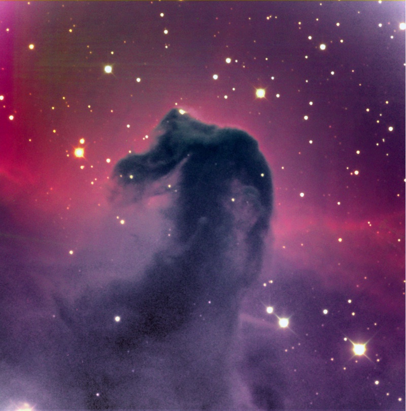 APOD: 2000 December 29 – The Dark Horsehead Nebula