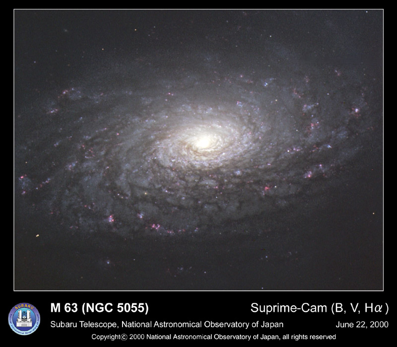 APOD: 2000 June 27 – M63: The Sunflower Galaxy