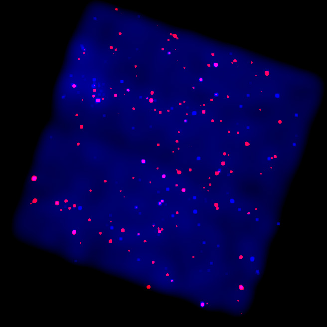 APOD: 2001 August 14 – X-Rays from the Galactic Plane