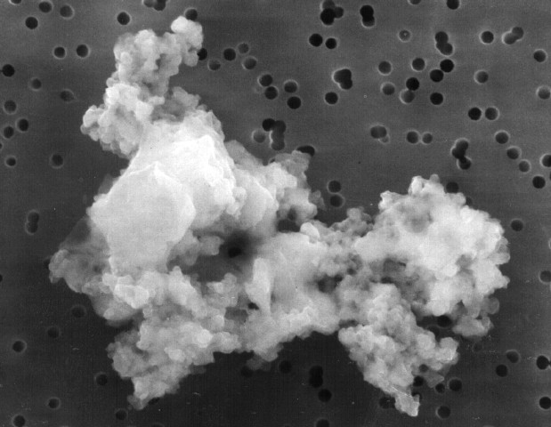 APOD: 2001 August 13 – A Piece of Interplanetary Dust