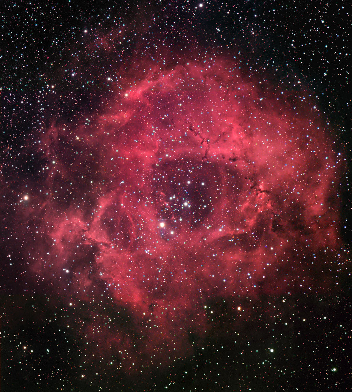 APOD: 2001 February 14 – The Rosette Nebula