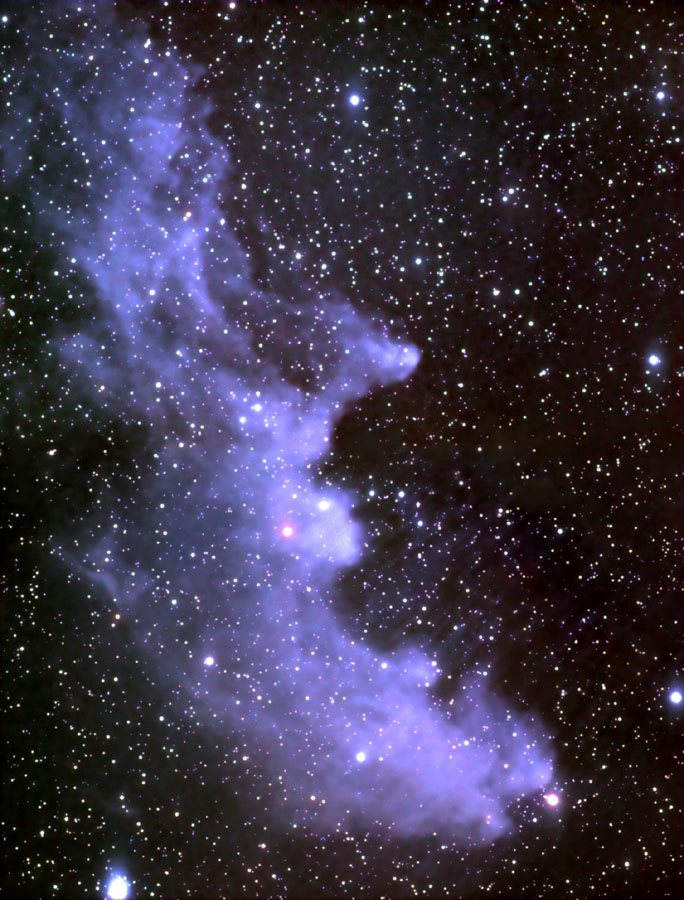 APOD: 2001 February 27 – The Witch Head Nebula