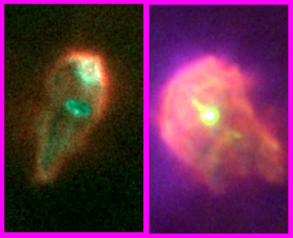 APOD: 2001 May 4 – Protoplanetary Survivors in Orion