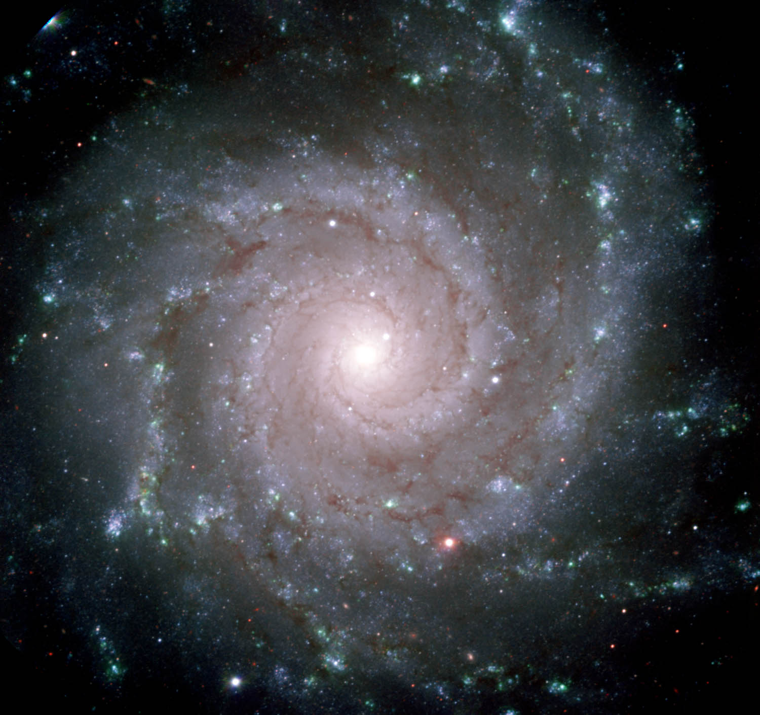 APOD: 2001 October 4 – M74: The Perfect Spiral