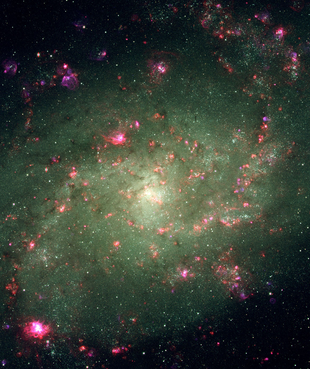 APOD: 2001 September 27 – Elements of Nearby Spiral M33