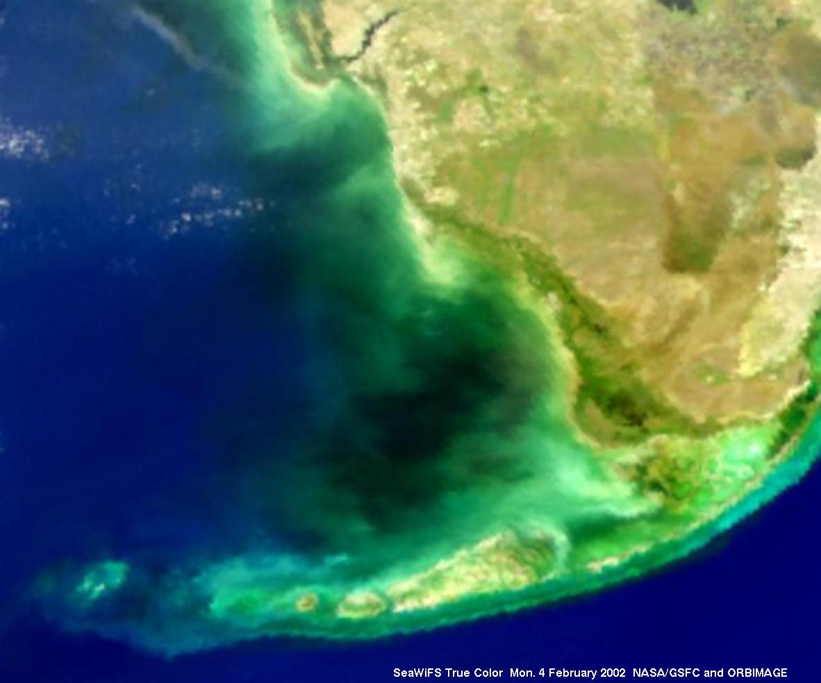 APOD: 2002 April 2 – Mysterious Black Water in Florida Bay