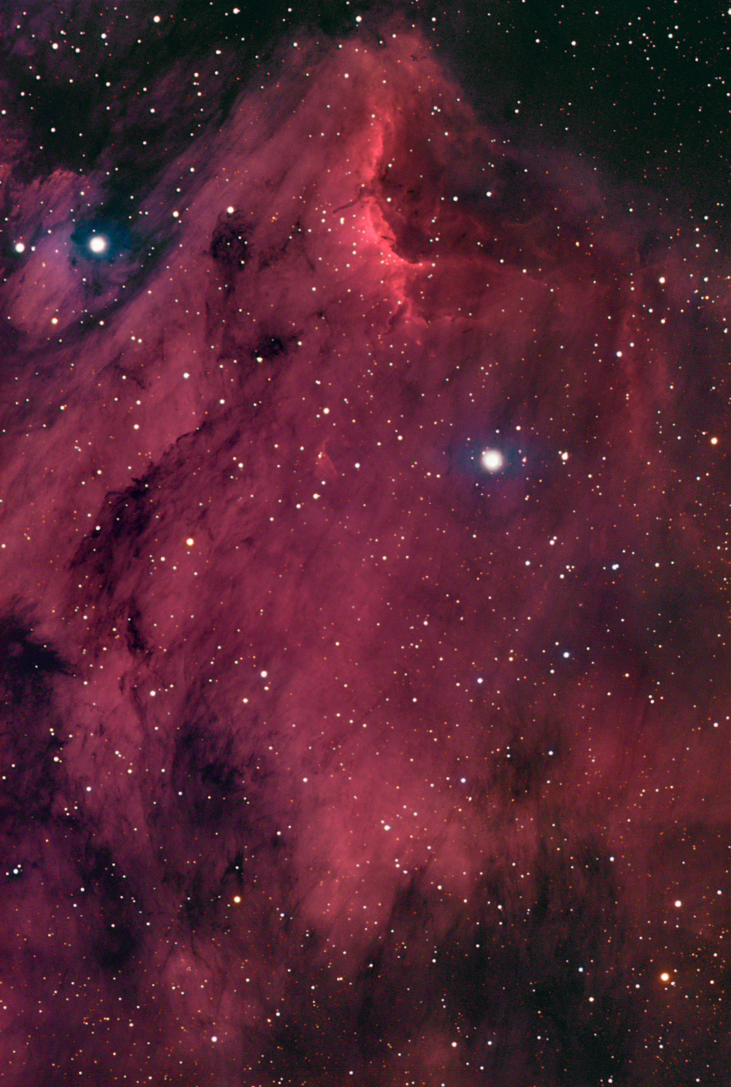 APOD: 2002 August 29 – The Pelican in the Swan