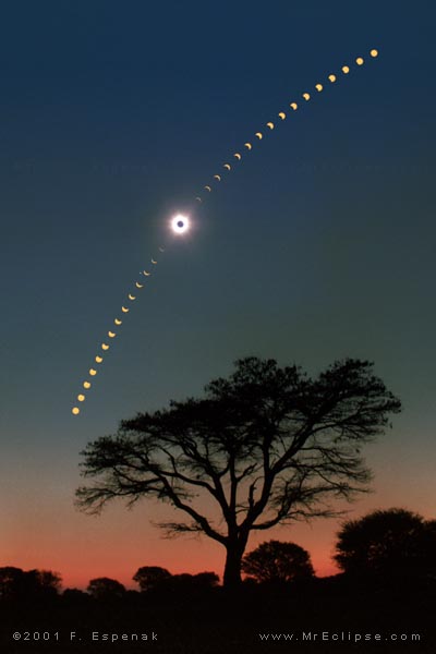 APOD: 2002 December 3 – Eclipse Over Acacia