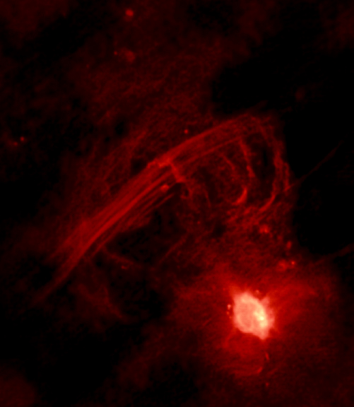 APOD: 2002 May 21 – The Galactic Center Radio Arc