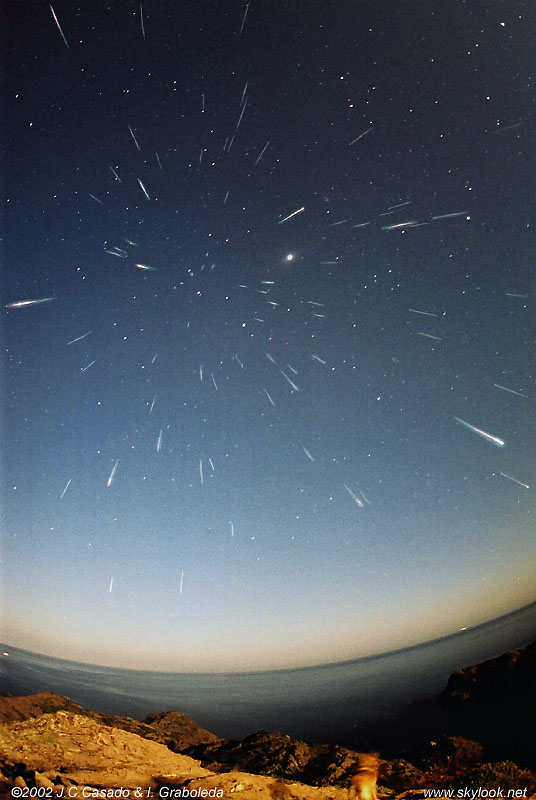 APOD: 2002 November 27 – Leonids and Leica