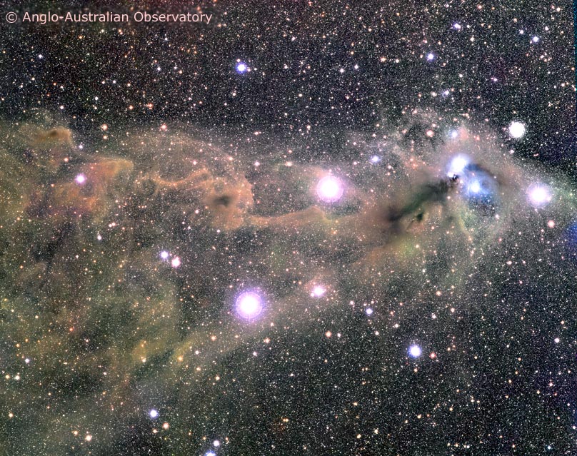 APOD: 2002 October 2 – Star Clouds Toward the Southern Crown