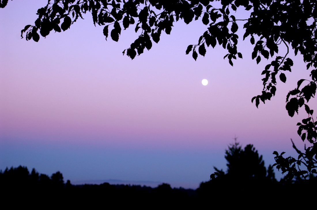 APOD: 2003 August 22 – Shadow Rise