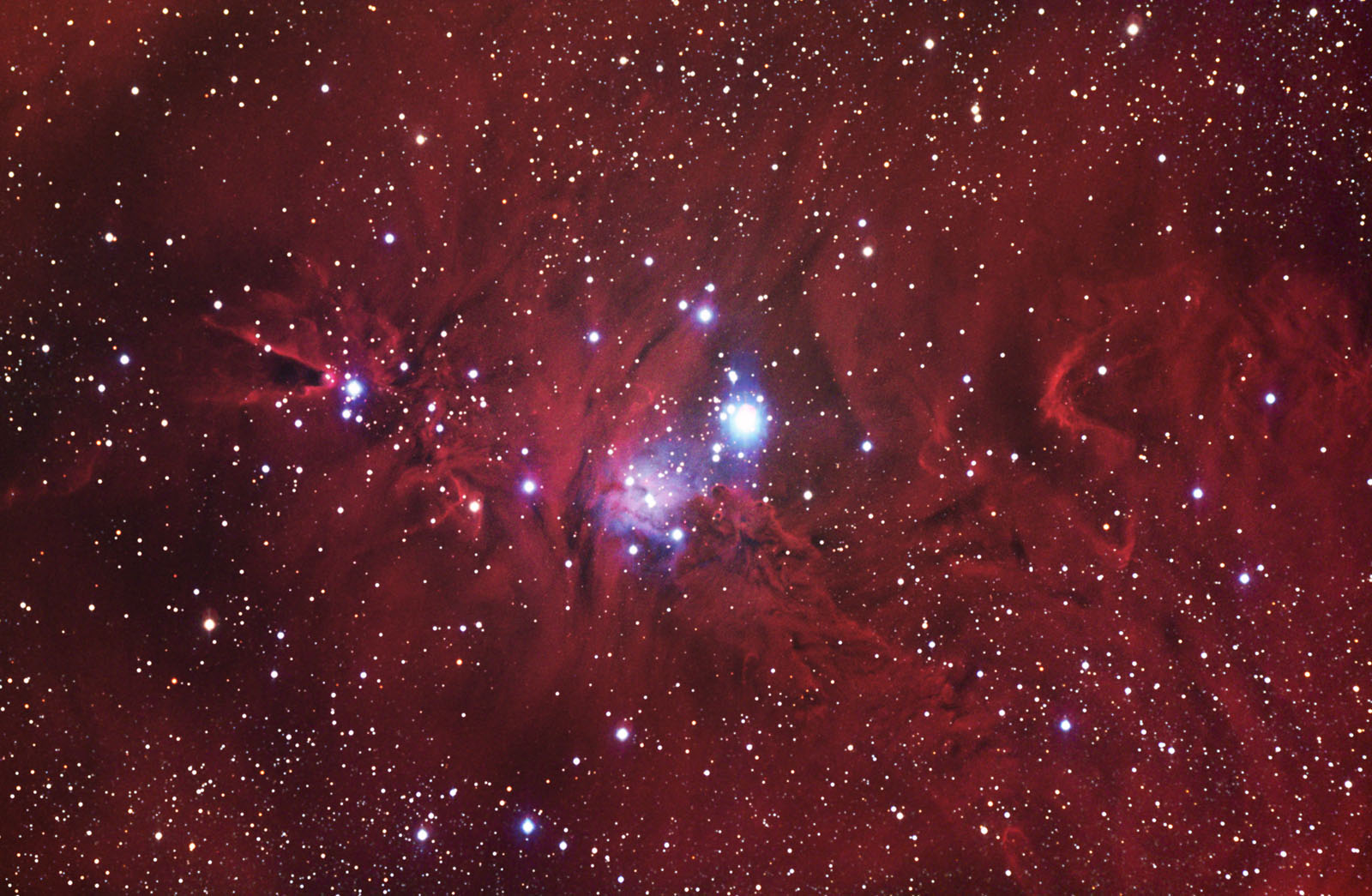 APOD: 2003 February 28 – Fox Fur, the Unicorn, and a Christmas Tree