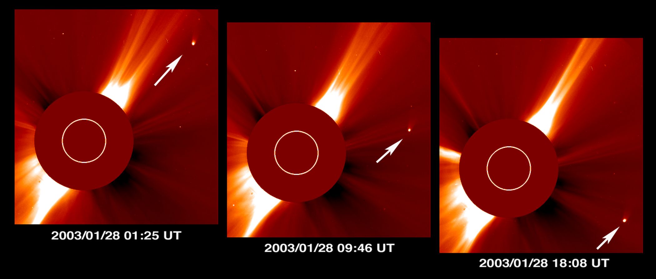 APOD: 2003 January 30 – Comet Kudo-Fujikawa: Days in the Sun