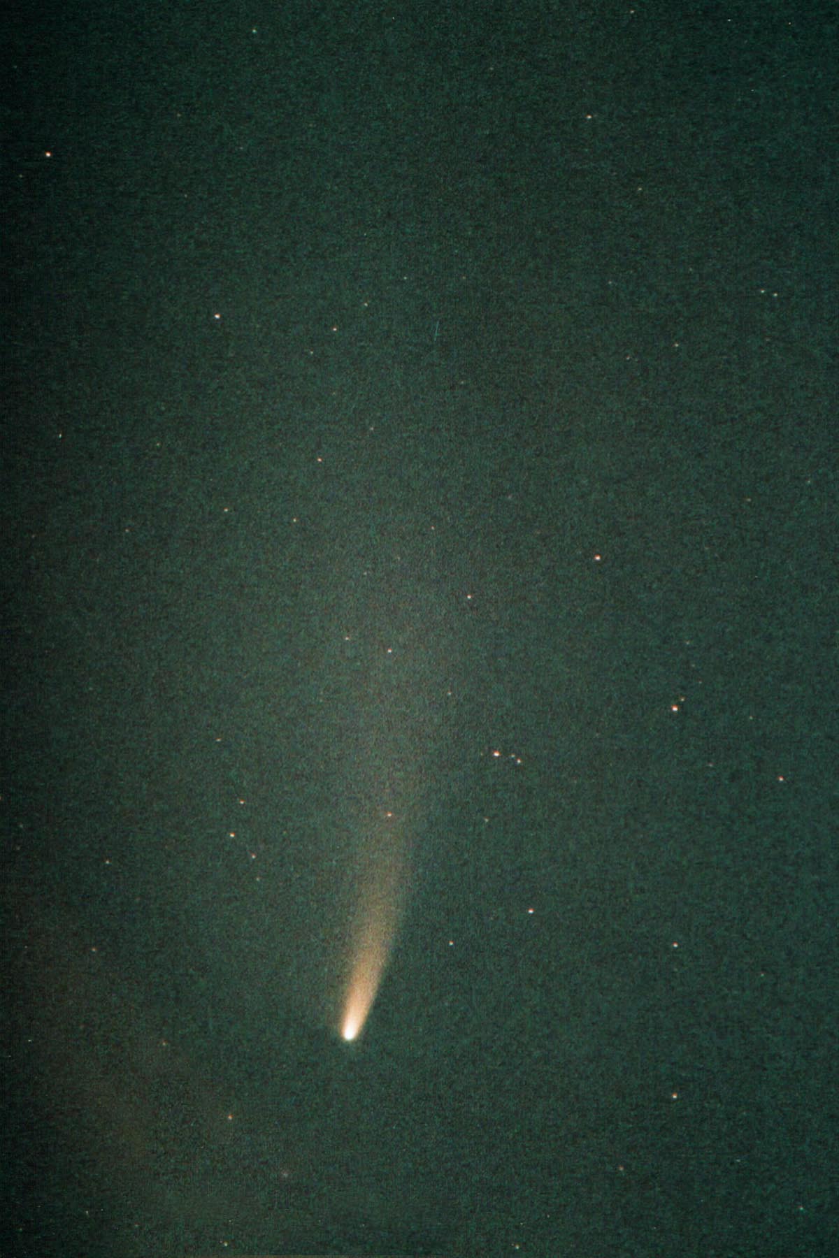 APOD: 2003 March 6 – Comet NEAT in Southern Skies