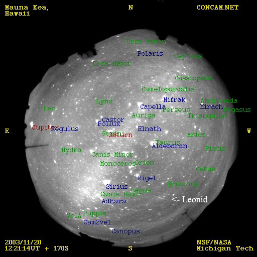 APOD: 2003 November 25 – A Late Leonid from a Sparse Shower