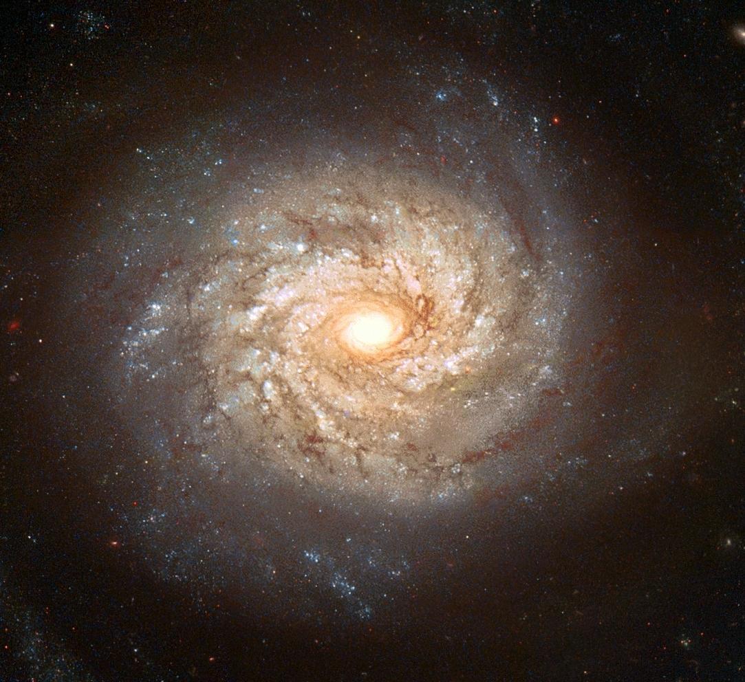 APOD: 2003 November 3 – Spiral Galaxy NGC 3982 Before Supernova