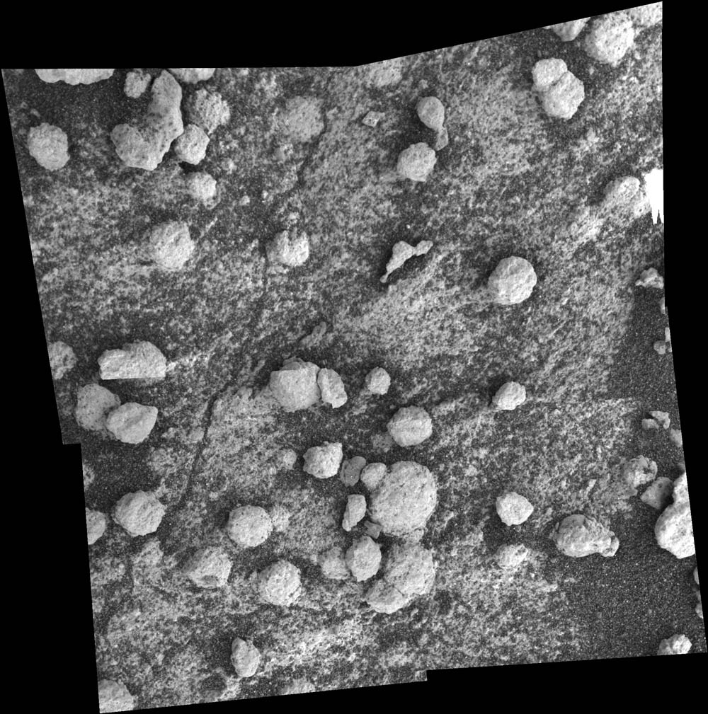 APOD: 2004 August 17 – The Unusual Blueberries at Bylot Rock