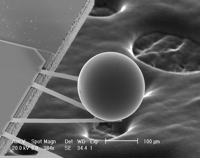 A Force from Empty Space: The Casimir Effect