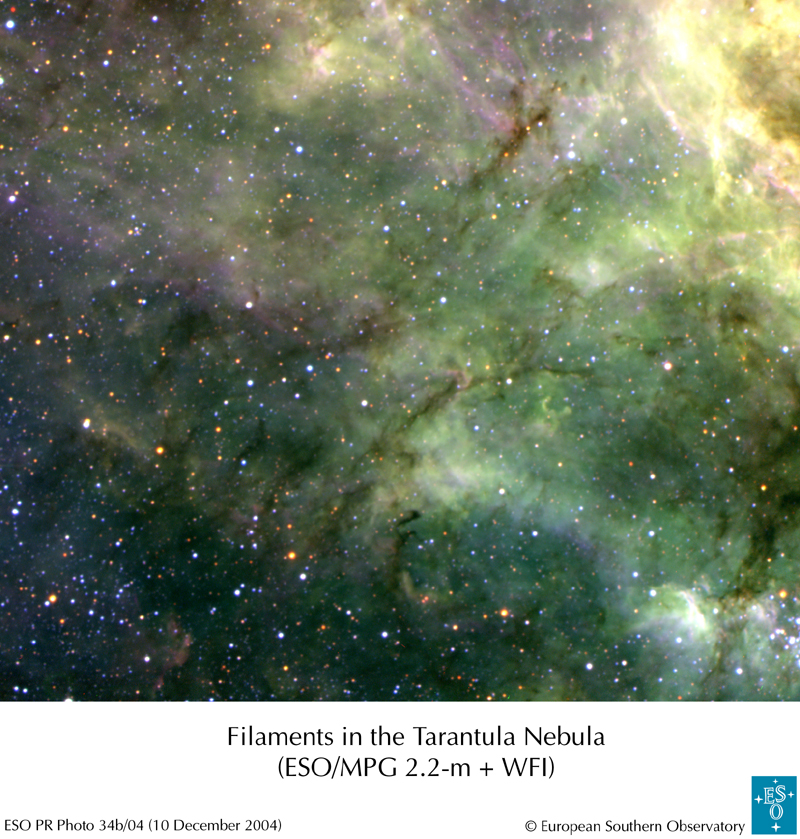 APOD: 2004 December 28 – Tentacles of the Tarantula Nebula