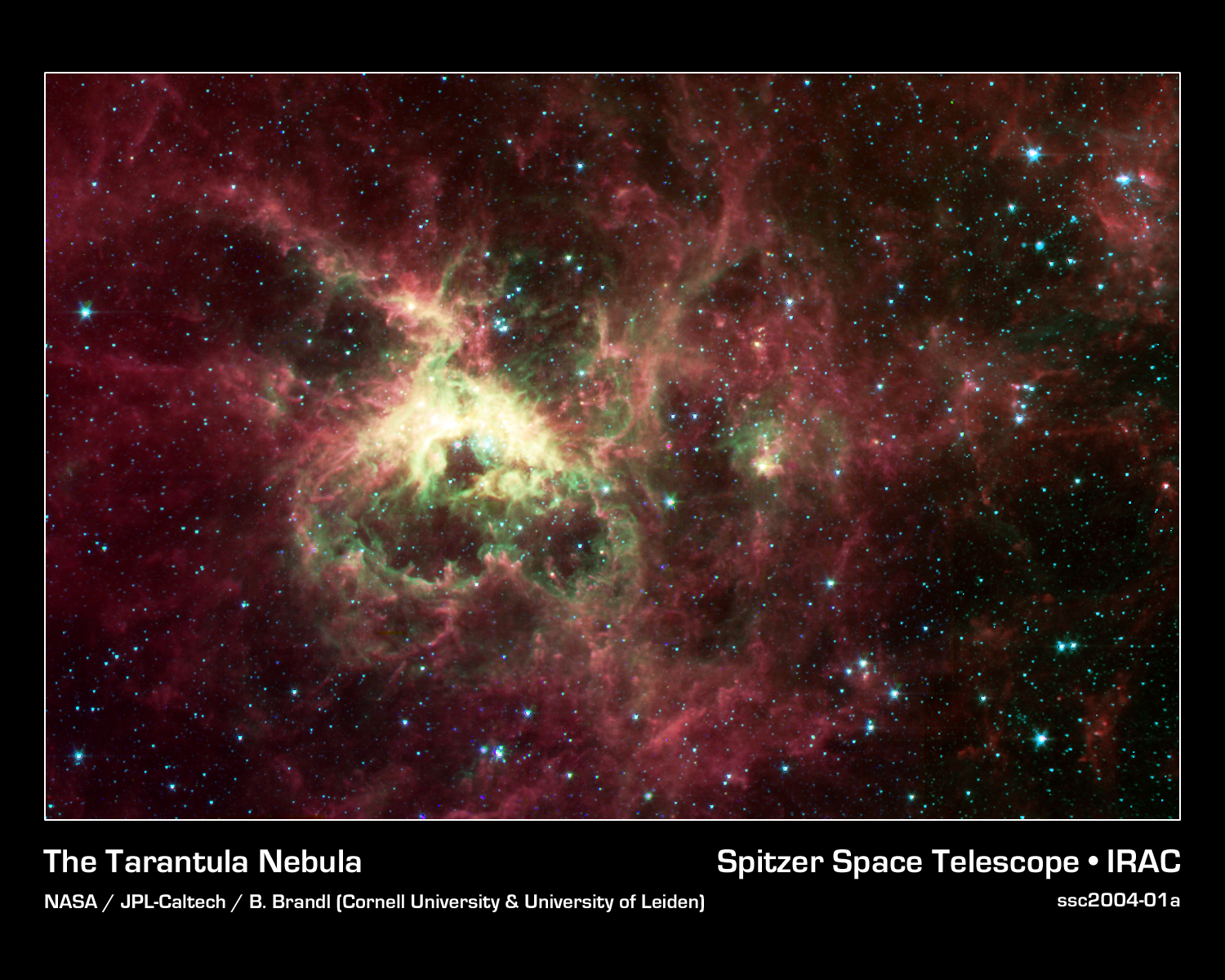 APOD: 2004 February 2 – The Tarantula Nebula from Spitzer