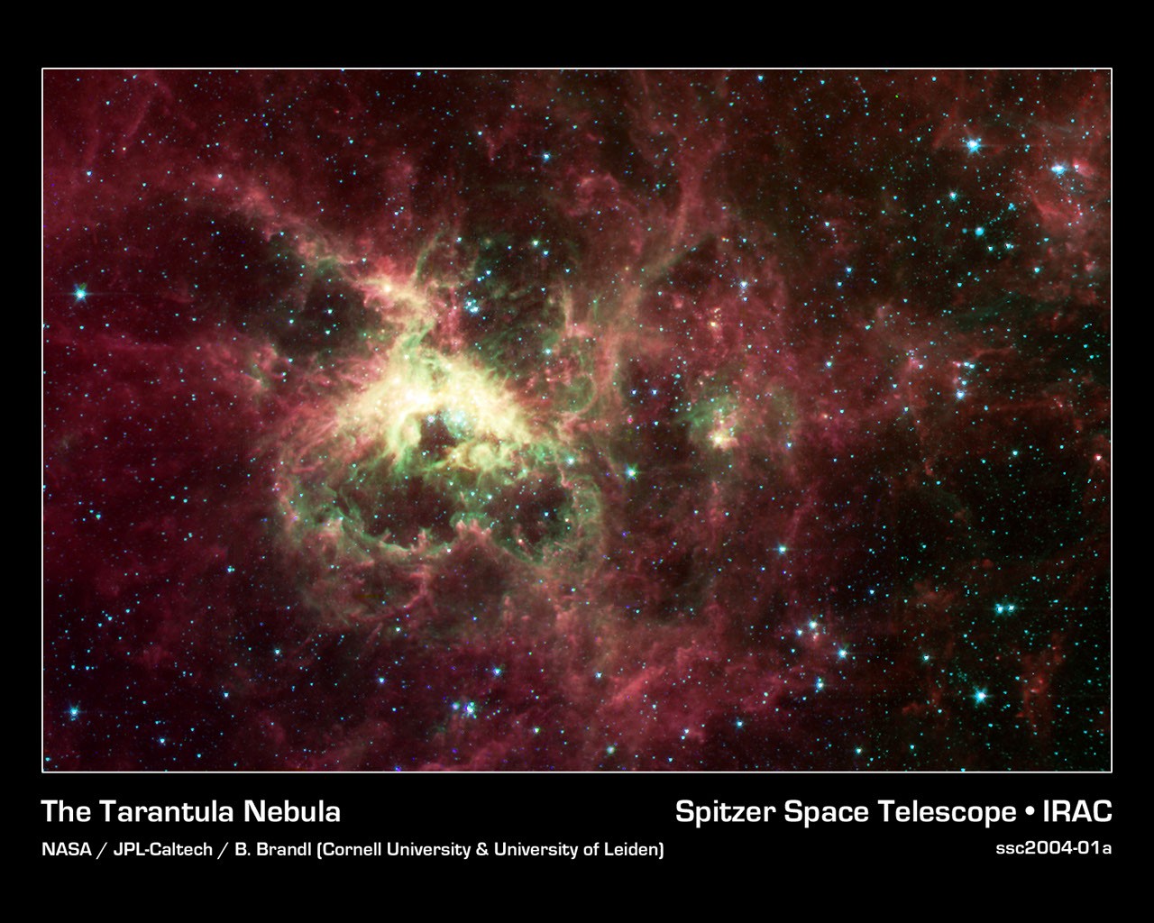 The Tarantula Nebula from Spitzer — APOD for 2004-02-02