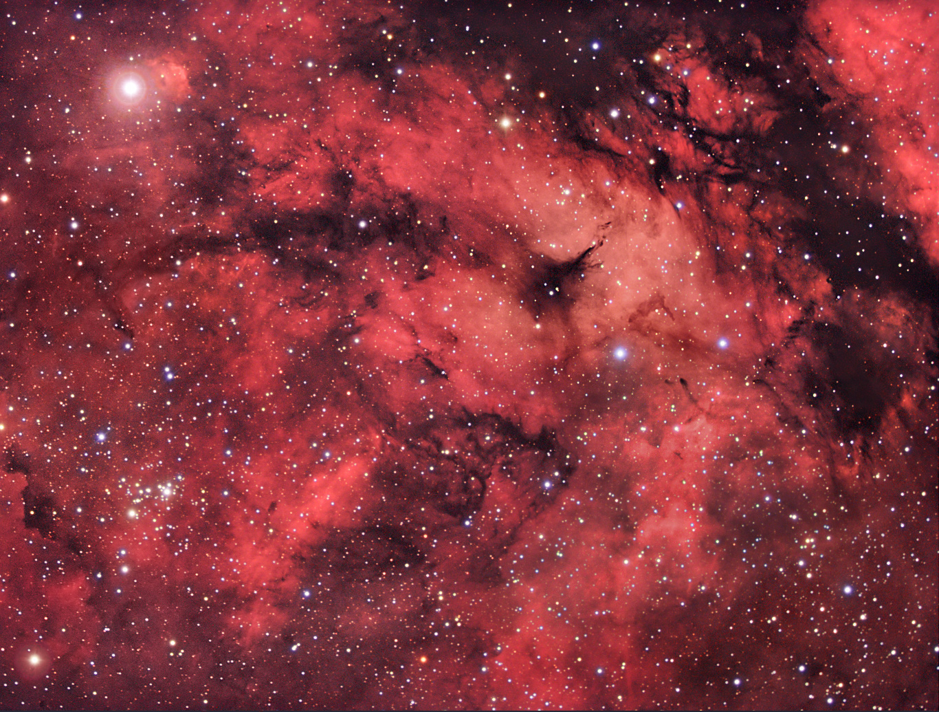 APOD: 2004 July 28 – A Cygnus Star Field