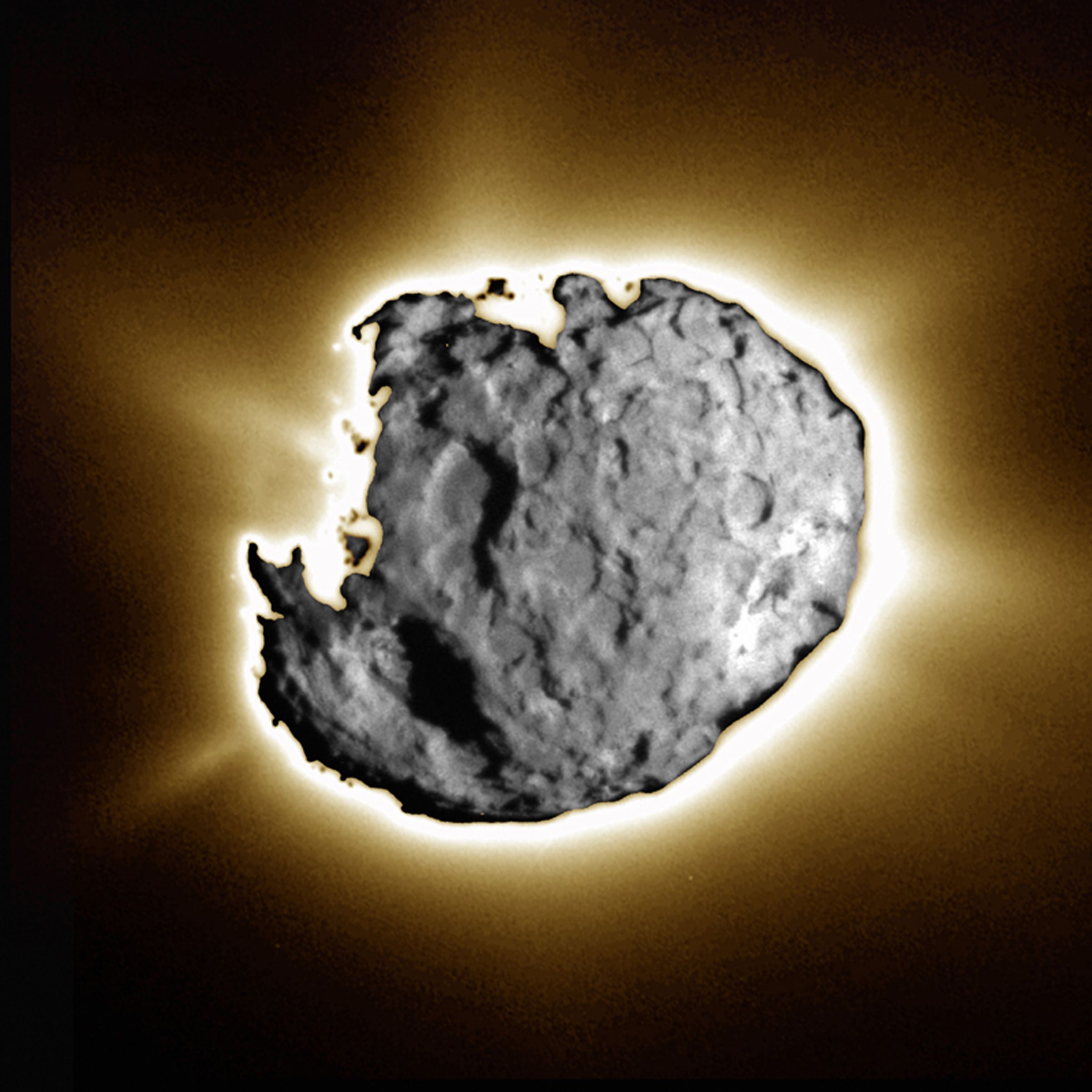 APOD: 2004 March 19 – Going Wild