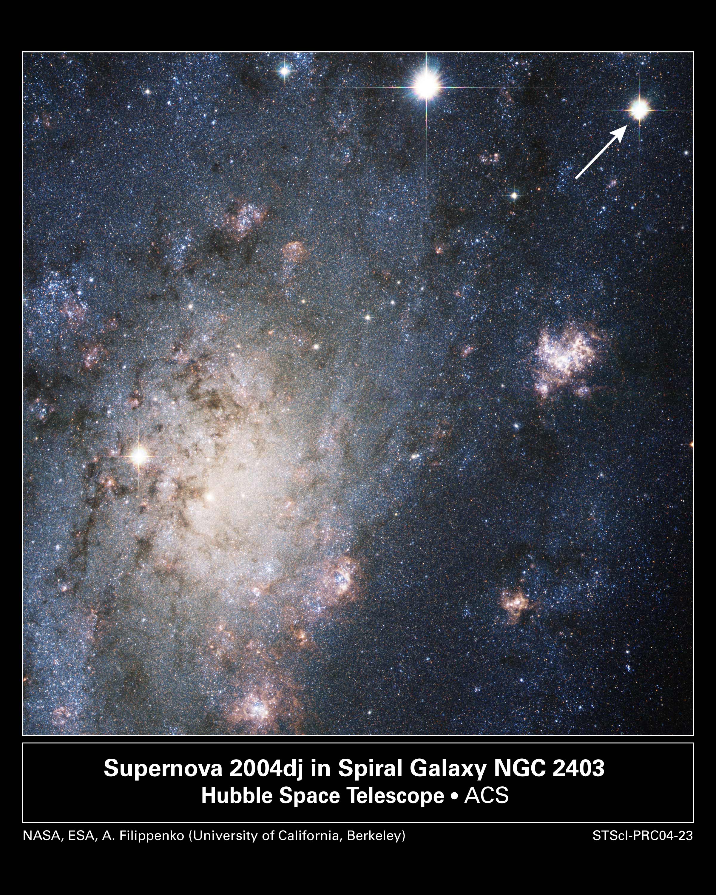 APOD: 2004 September 7 – A Supernova in Nearby Galaxy NGC 2403