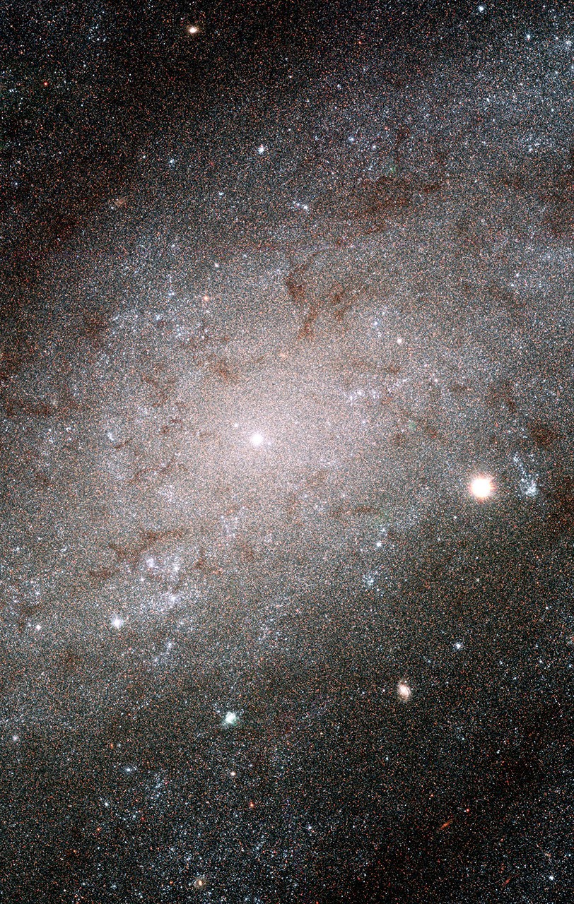 The Stars of NGC 300 — APOD for 2005-08-20