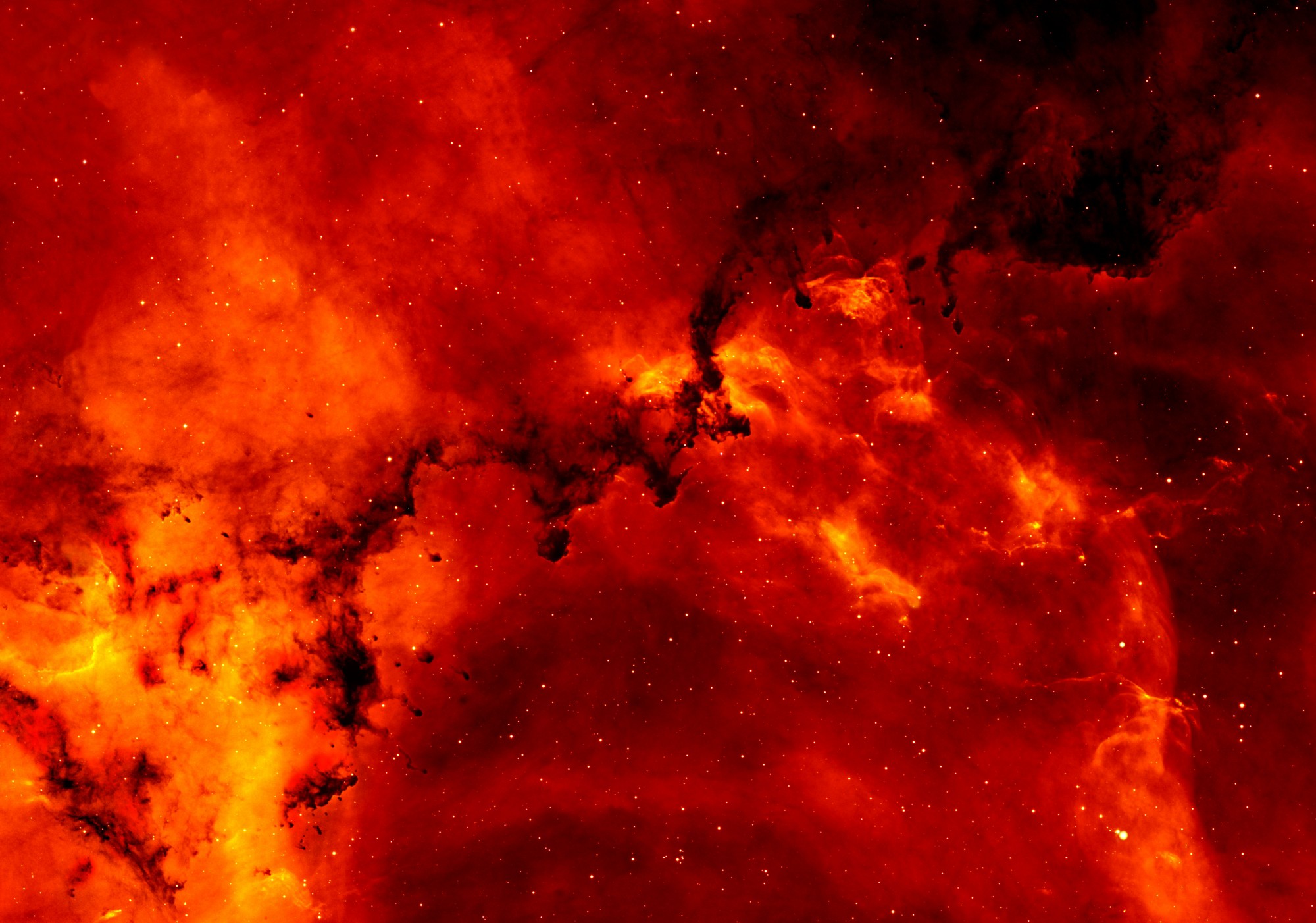 APOD: 2005 December 23 – Hydrogen and Dust in the Rosette Nebula