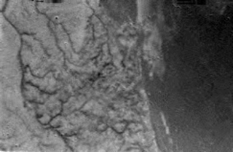 APOD: 2005 January 15 – Huygens Images Titan’s Surface