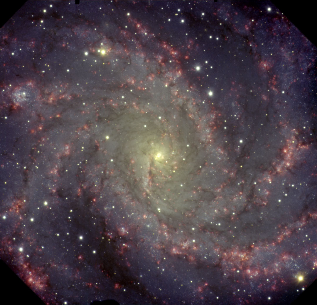 APOD: 2005 January 25 – NGC 6946: The Fireworks Galaxy