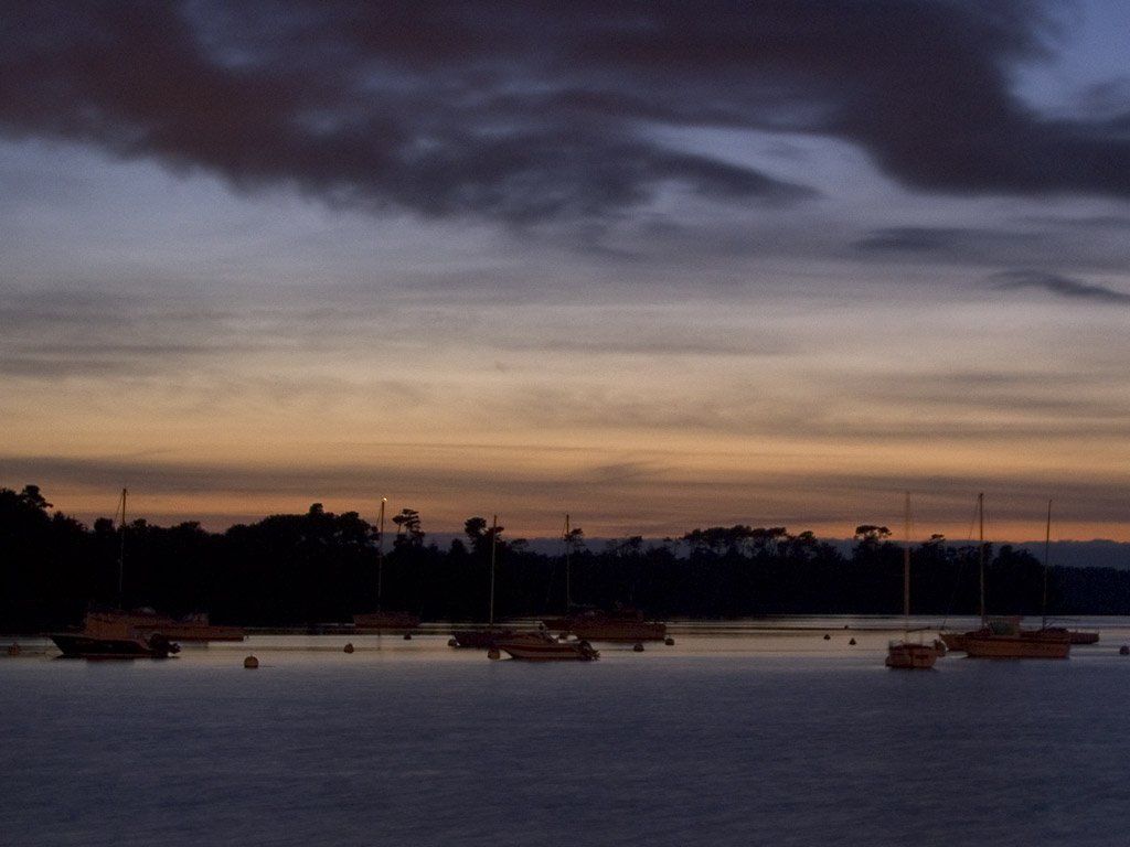 APOD: 2005 June 9 – Venus Returns to the Evening Sky